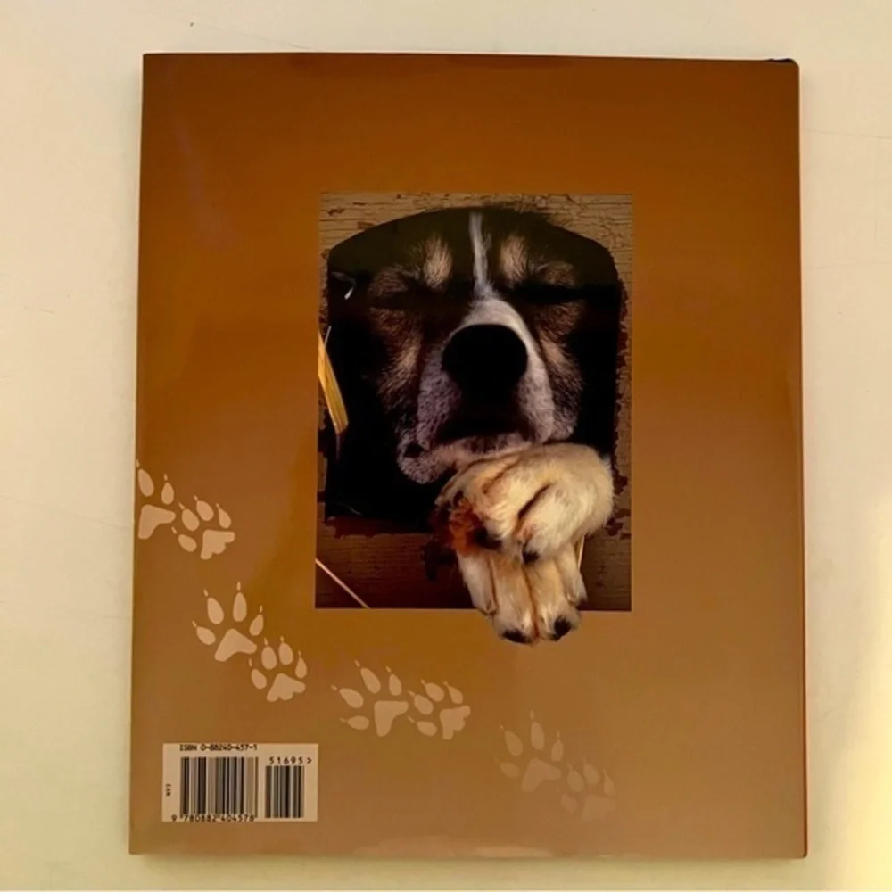 A Child’s Alaska hardback book with slip cover